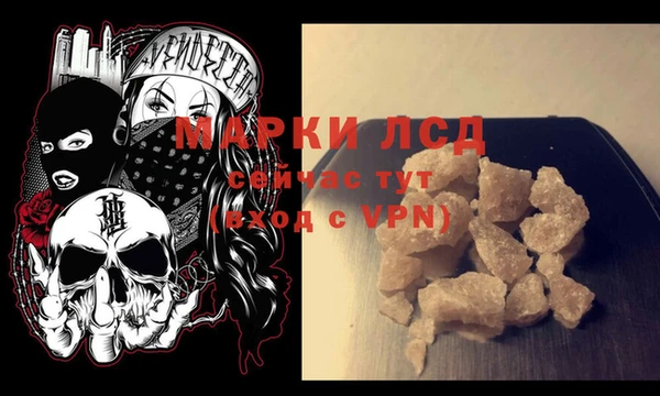 крисы Абаза