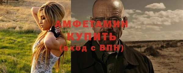 крисы Абаза